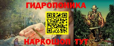 ПСИЛОЦИБИНОВЫЕ ГРИБЫ Гусь-Хрустальный