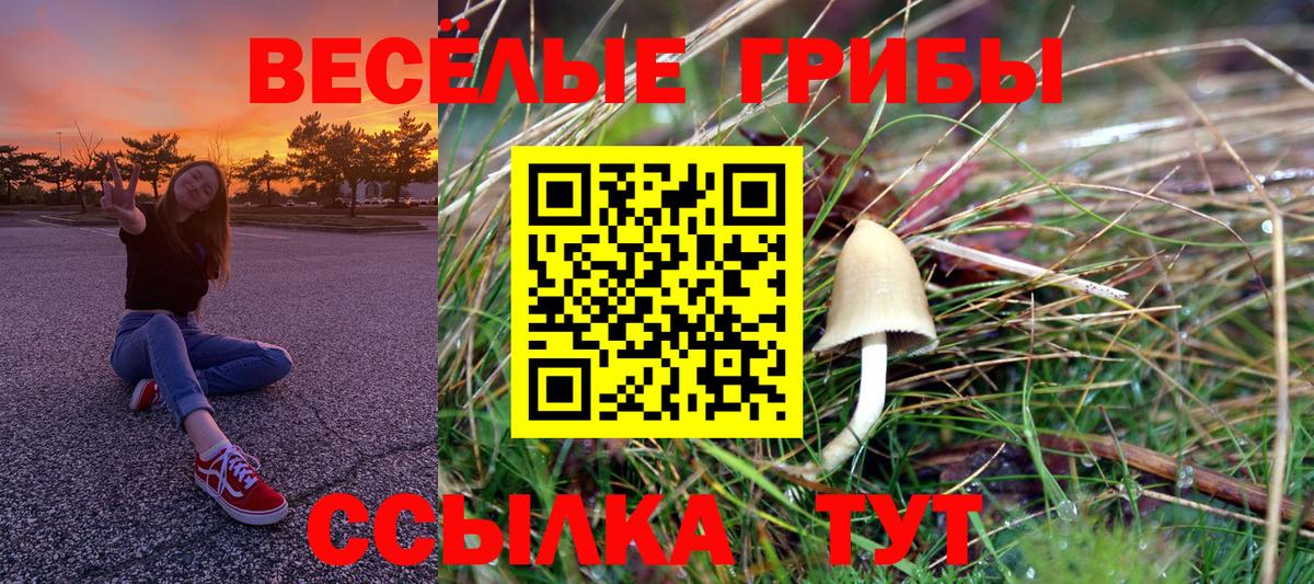 Псилоцибиновые грибы Magic Shrooms Карасук